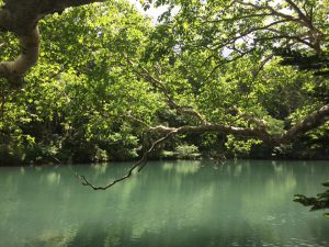 20108377_1424405064312445_7477491746698735117_n